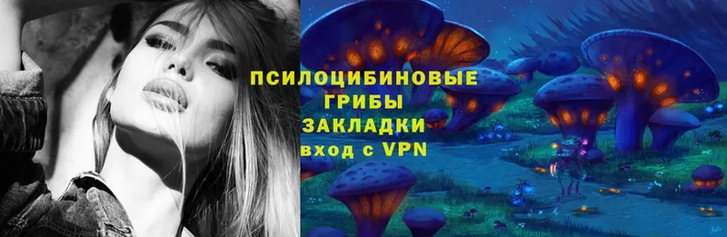 Псилоцибиновые грибы Psilocybe  цены наркотик  Краснокамск 